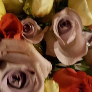 Meet your Posher, Pamela